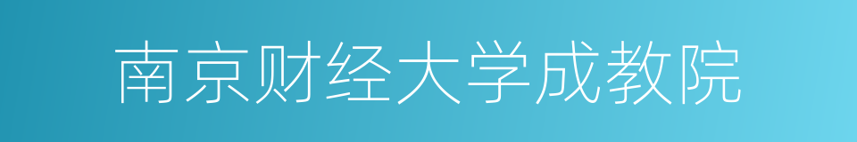 南京财经大学成教院的同义词