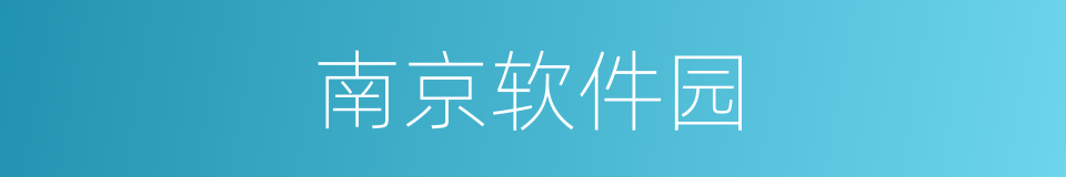 南京软件园的同义词