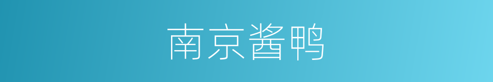 南京酱鸭的同义词