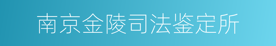 南京金陵司法鉴定所的同义词