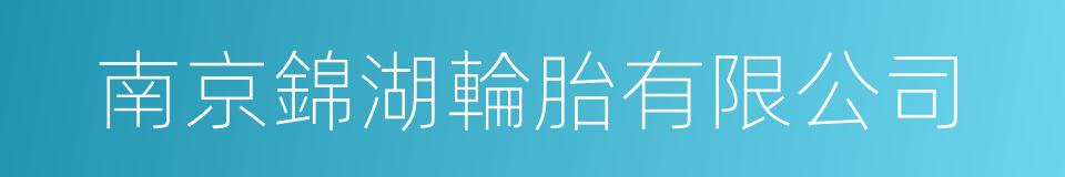 南京錦湖輪胎有限公司的同義詞