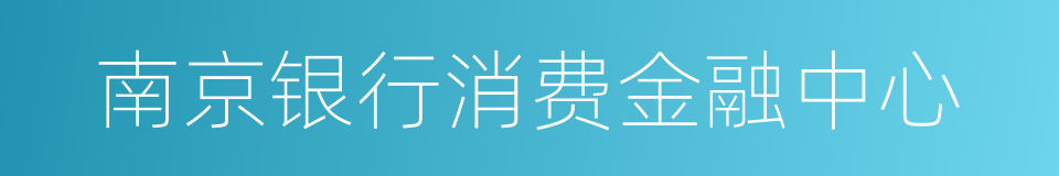 南京银行消费金融中心的同义词