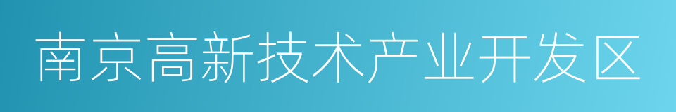 南京高新技术产业开发区的同义词