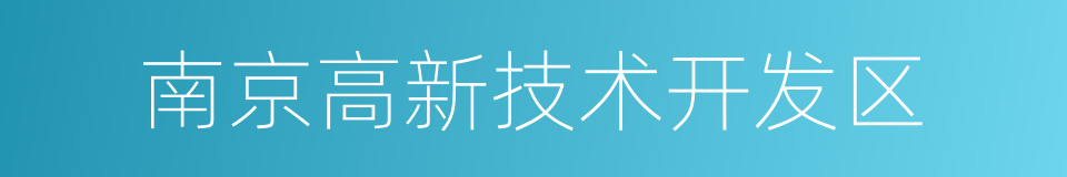 南京高新技术开发区的同义词