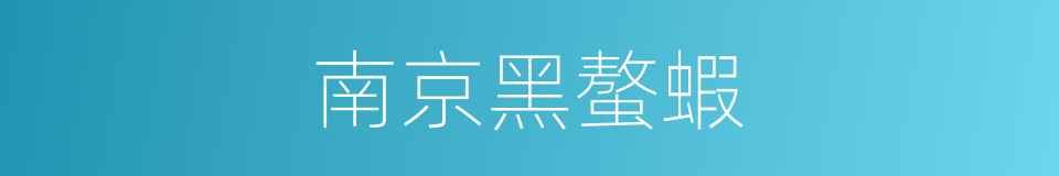 南京黑螯蝦的同義詞