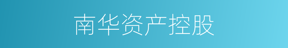 南华资产控股的同义词