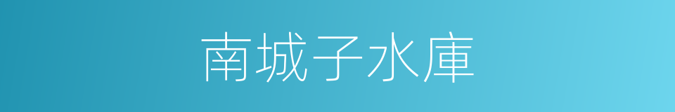 南城子水庫的同義詞