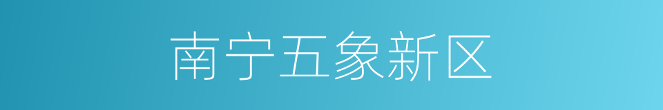 南宁五象新区的同义词