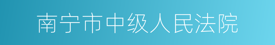 南宁市中级人民法院的同义词