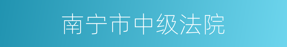 南宁市中级法院的同义词