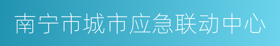 南宁市城市应急联动中心的同义词