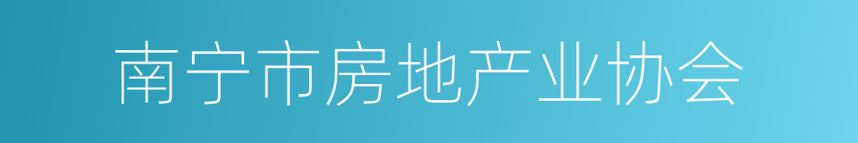 南宁市房地产业协会的同义词