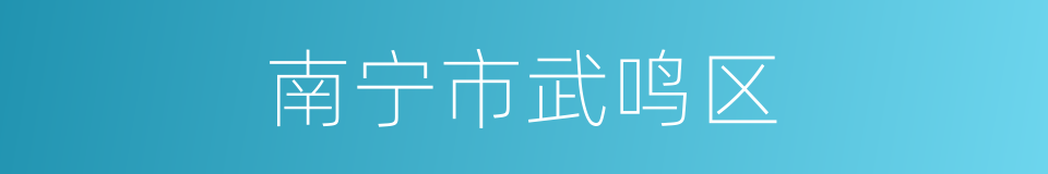 南宁市武鸣区的同义词