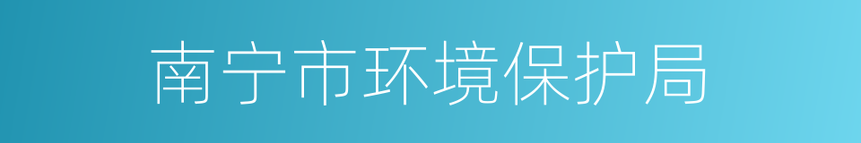南宁市环境保护局的同义词
