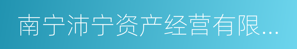 南宁沛宁资产经营有限责任公司的同义词