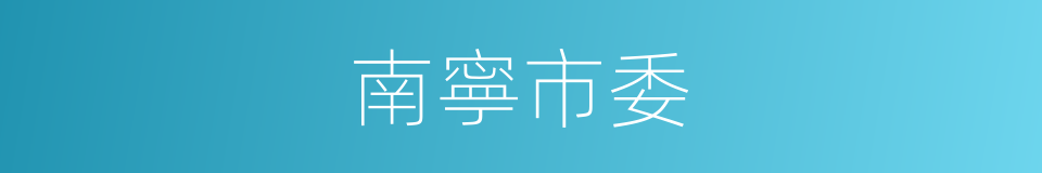 南寧市委的同義詞
