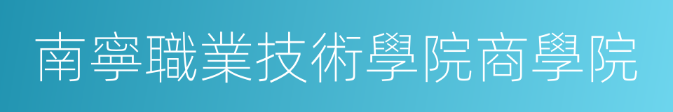 南寧職業技術學院商學院的同義詞