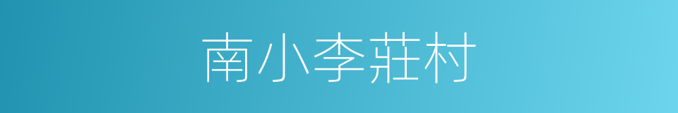 南小李莊村的同義詞