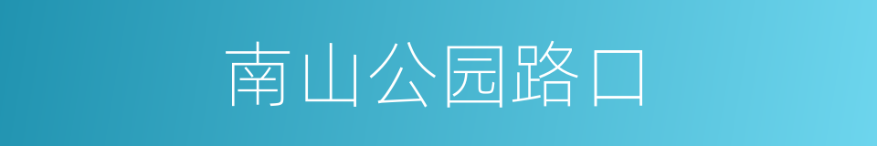 南山公园路口的同义词