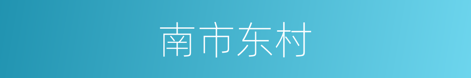 南市东村的同义词