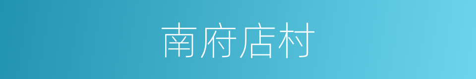 南府店村的同义词