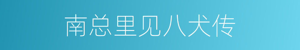 南总里见八犬传的同义词