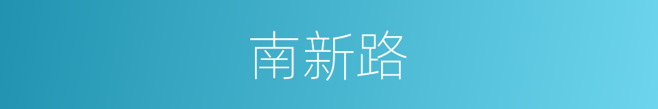 南新路的同义词