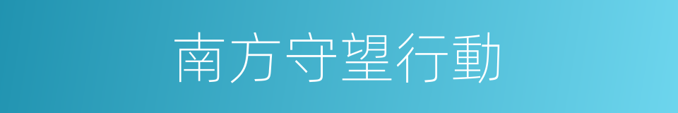 南方守望行動的同義詞