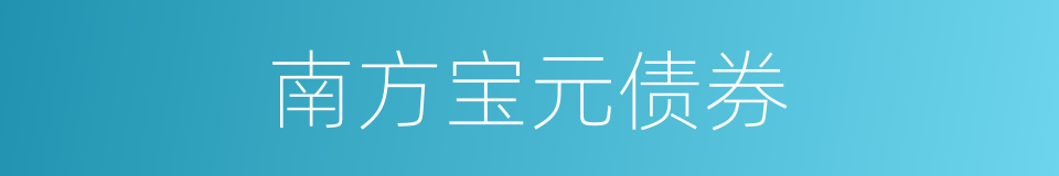 南方宝元债券的同义词