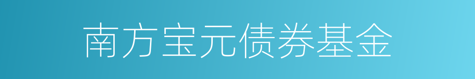 南方宝元债券基金的同义词