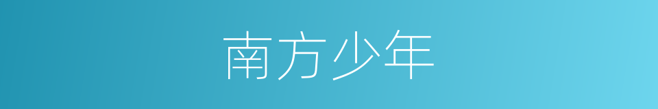 南方少年的同义词