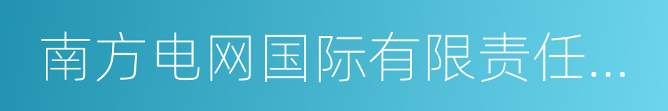 南方电网国际有限责任公司的同义词