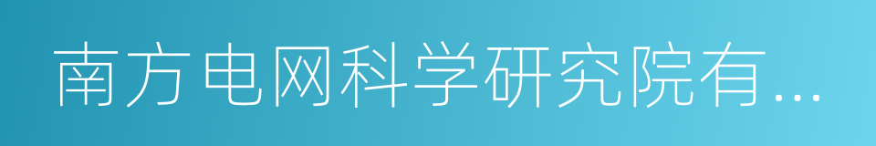 南方电网科学研究院有限责任公司的同义词