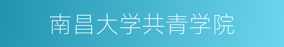 南昌大学共青学院的同义词