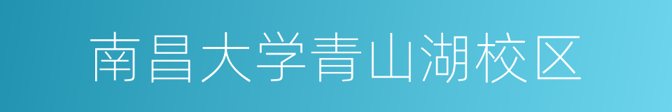 南昌大学青山湖校区的同义词