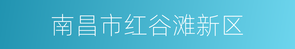 南昌市红谷滩新区的同义词