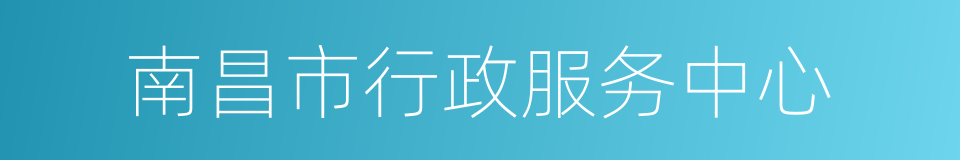 南昌市行政服务中心的同义词