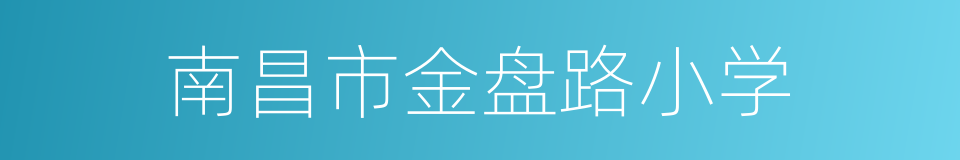南昌市金盘路小学的同义词