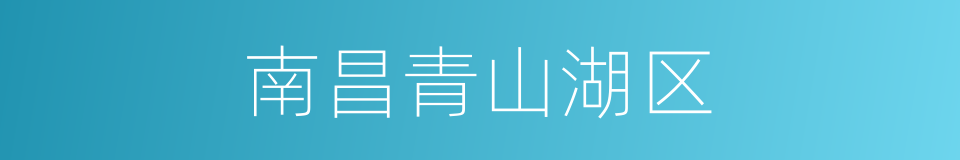 南昌青山湖区的同义词