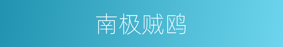 南极贼鸥的同义词