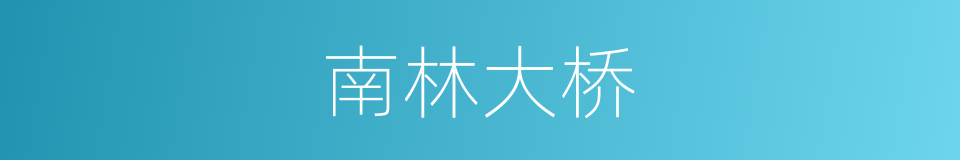 南林大桥的同义词