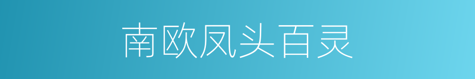 南欧凤头百灵的同义词