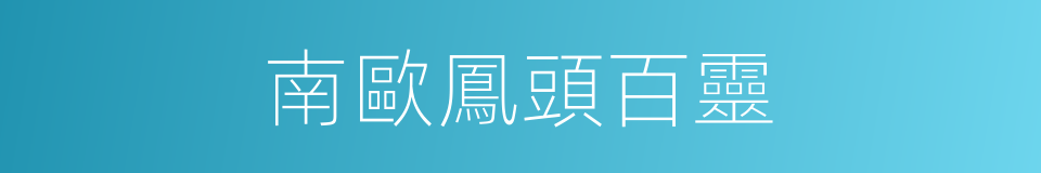南歐鳳頭百靈的同義詞
