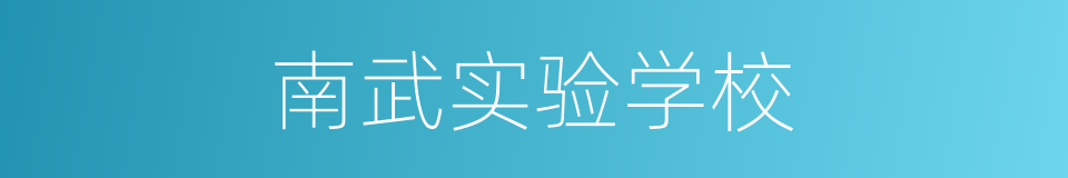 南武实验学校的同义词