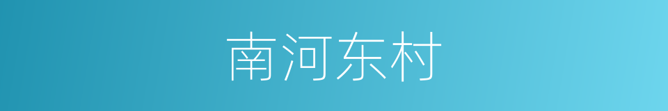 南河东村的同义词
