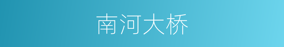 南河大桥的同义词