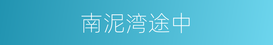 南泥湾途中的同义词