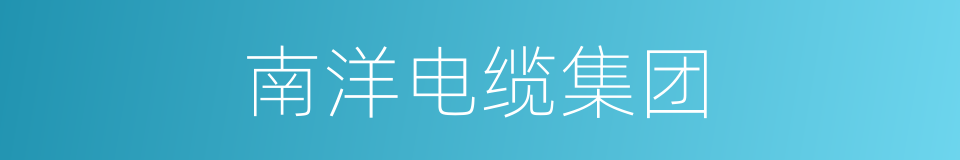 南洋电缆集团的同义词