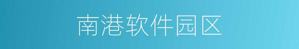 南港软件园区的同义词