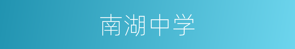 南湖中学的同义词